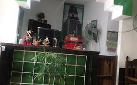 Green Monkey
