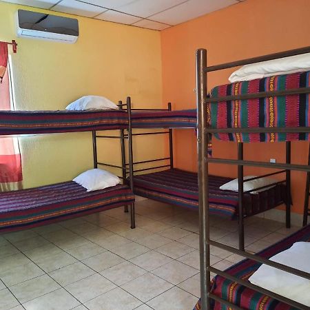 Green Monkey Hostel Flores Exterior photo